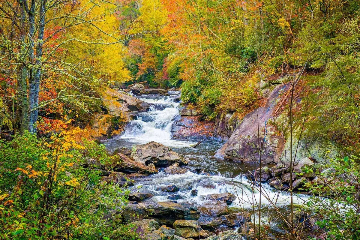 A picturesque riverside scene featuring flowing water, colorful autumn foliage, and rocky elements. The natural beauty invites relaxation, reflection, and outdoor activity, tying in the opportunities for downtime and tranquil escapes near the property.